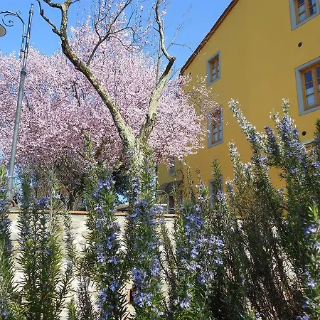 Amedea Tuscany Country Experience * ピストイア