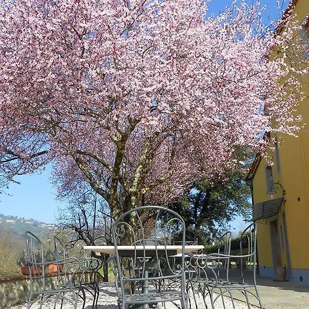 ファームステイ Amedea Tuscany Country Experience