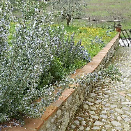 Amedea Tuscany Country Experience ファームステイ ピストイア