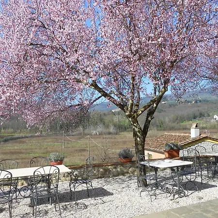Amedea Tuscany Country Experience ピストイア
