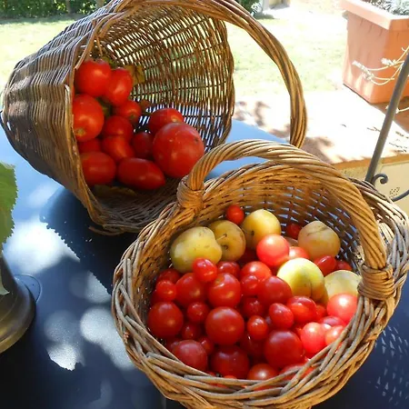 Farm stay Amedea Tuscany Country Experience Pistoia
