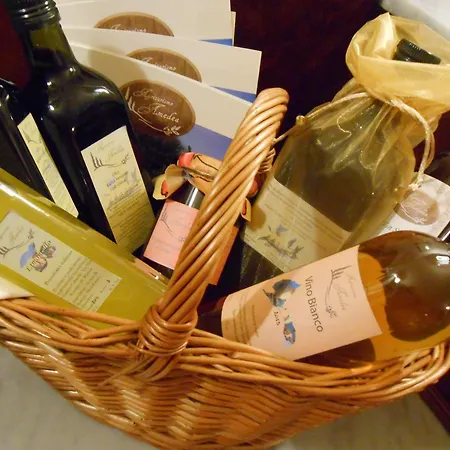 ファームステイ Amedea Tuscany Country Experience *