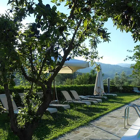 ファームステイ Amedea Tuscany Country Experience