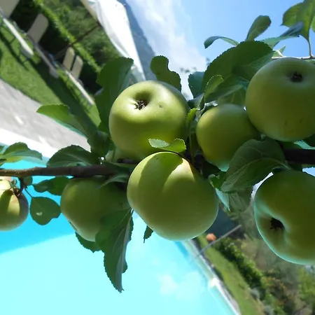Amedea Tuscany Country Experience ファームステイ ピストイア