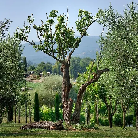 ファームステイ Amedea Tuscany Country Experience ピストイア
