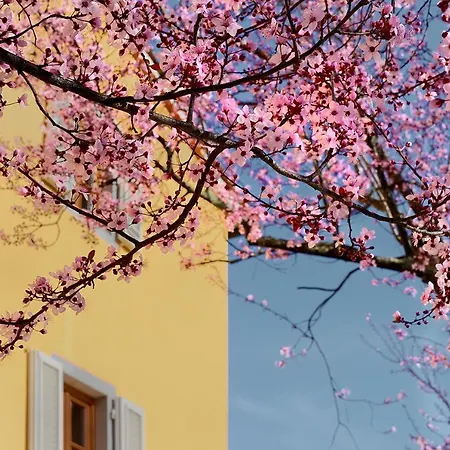 Amedea Tuscany Country Experience Farm stay *