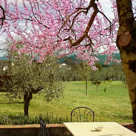Amedea Tuscany Country Experience ファームステイ ピストイア